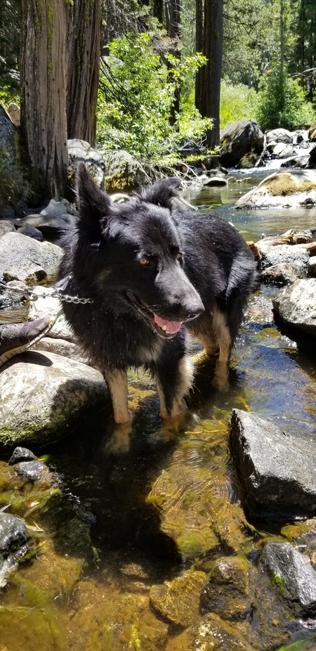 Ares