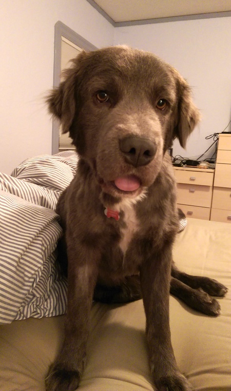 Smokey