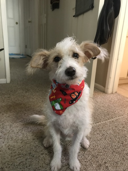 Vincenzo (Vinny)