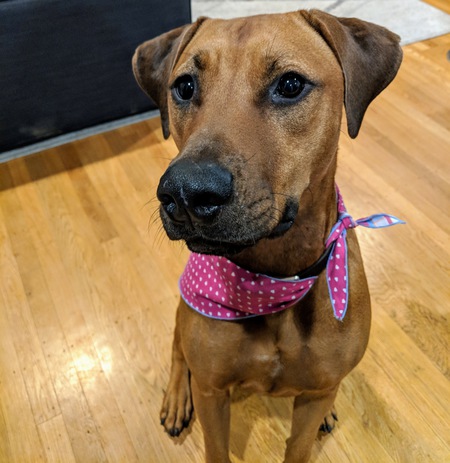 Penny