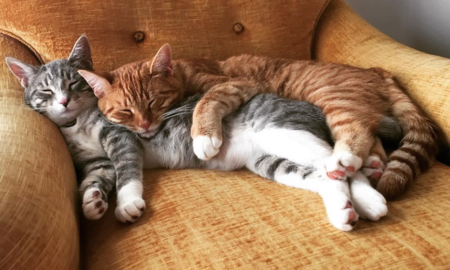 Ethel and Earl