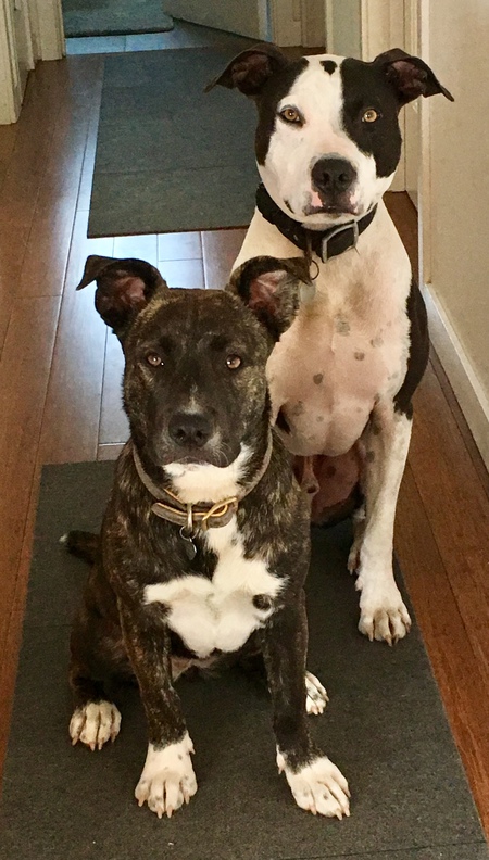 Obie & Cece