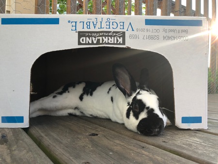 Max