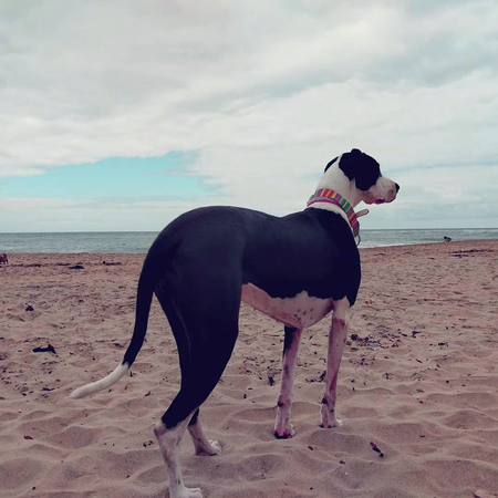 Bessie Mae