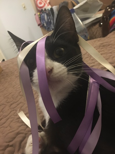 Xena