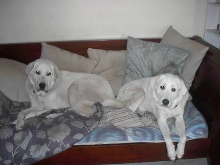Neba & Lucy