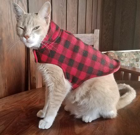 Butter - Most likely to solve a "Mousetery"