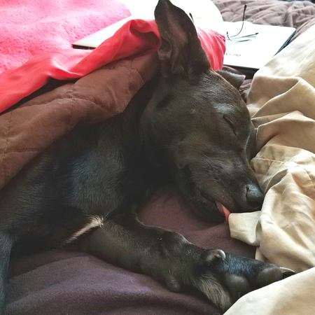 Chipper - Most likely to feel happiness!