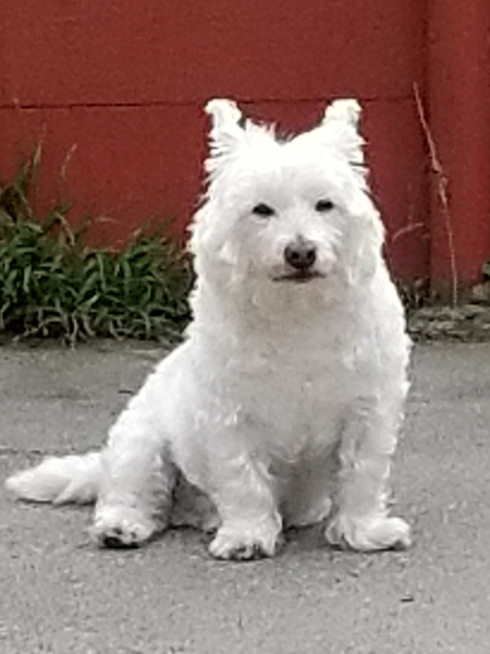 Tyson