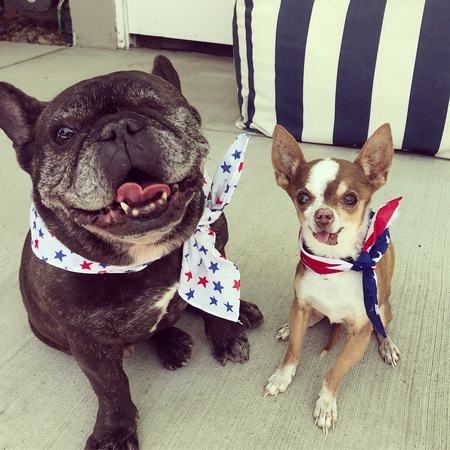 Mini & Gizmo 
