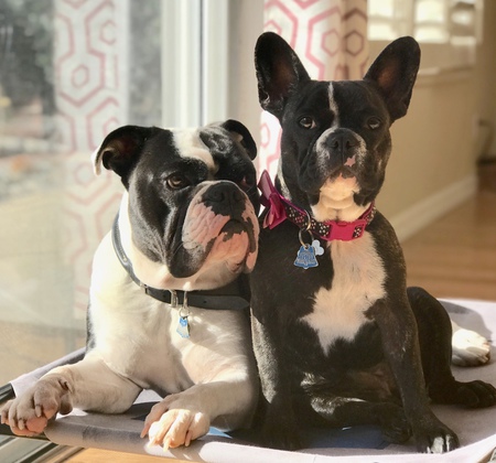 Tubby n Lulu