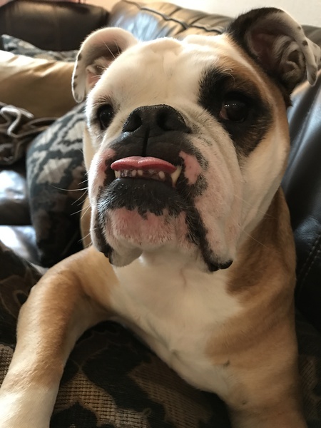 Khaleesi