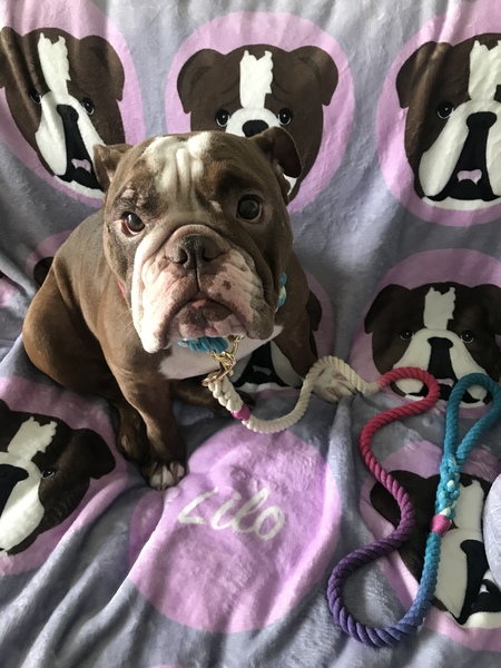 Lilo