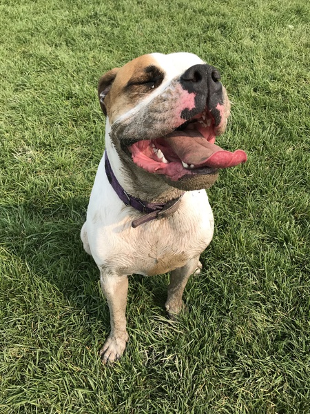 Luna 