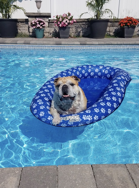 Dozer