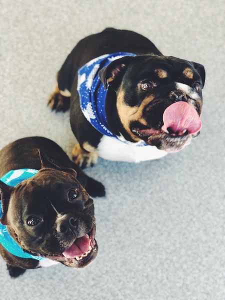 Frank & Bennie