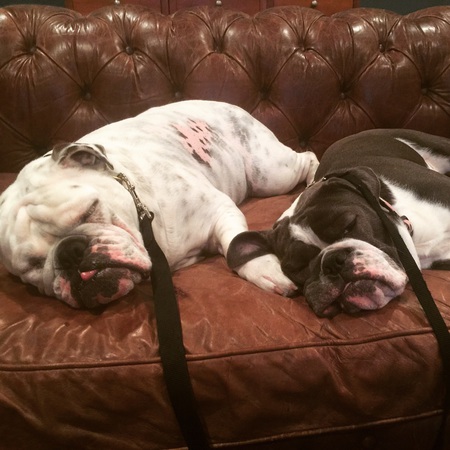 Louie and Gracie