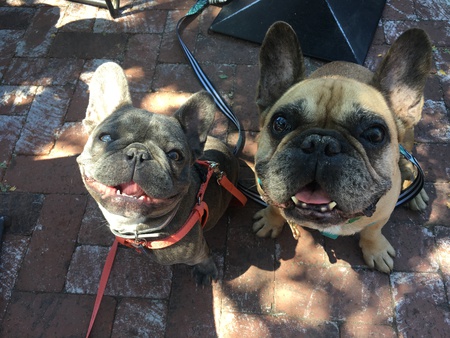 Luna and Frankenstein 