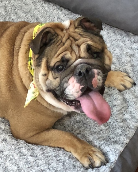 Baylor