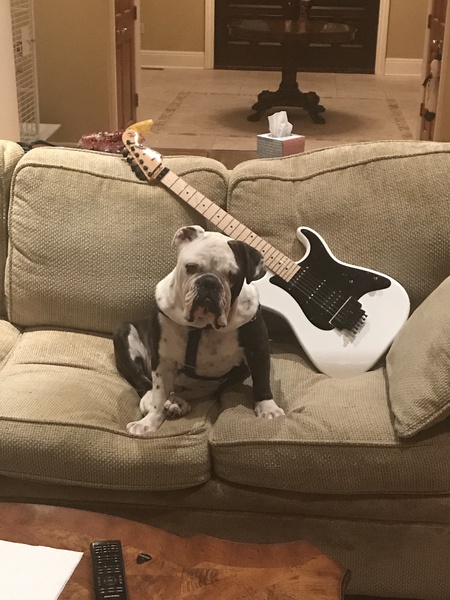 Buster
