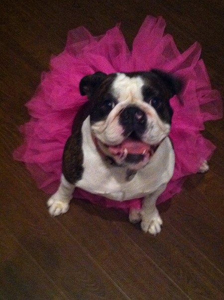 Bubbles Matilda