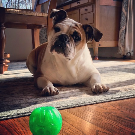 Mabel