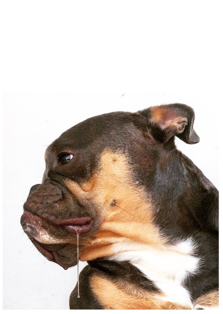 Montgomery Twix