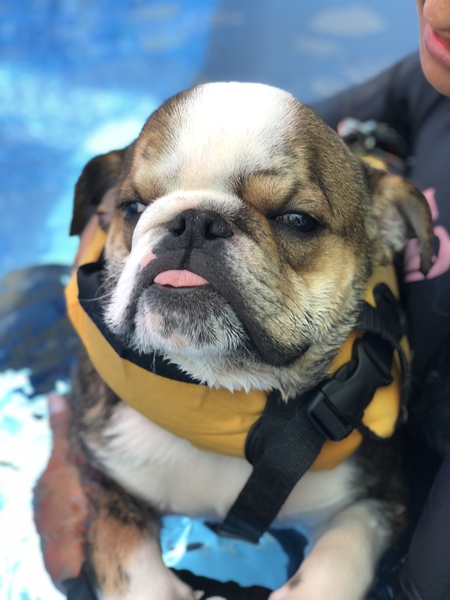 Archie Rye