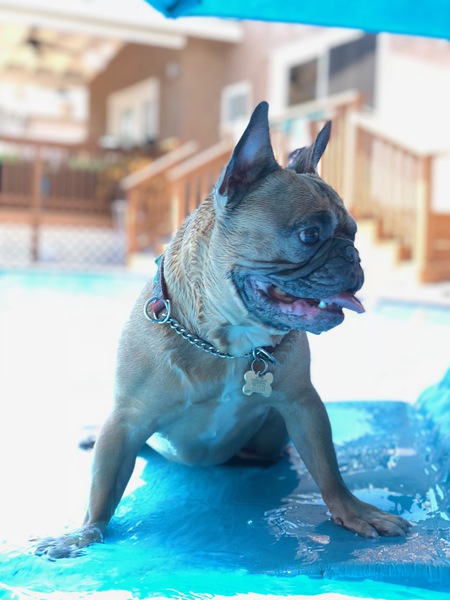 Otis