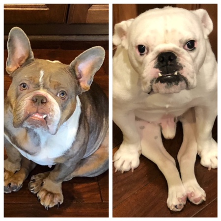 EllaRose & RingoStar