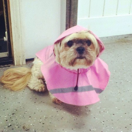 Daisy Mae