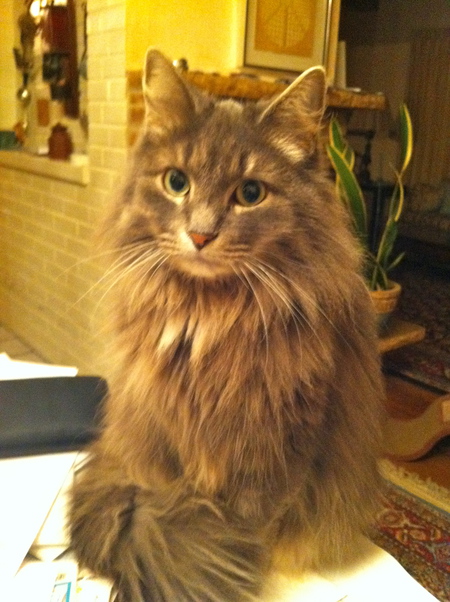 Mali (Short for Malinda)