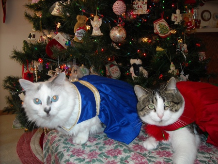 Princess & Maggie