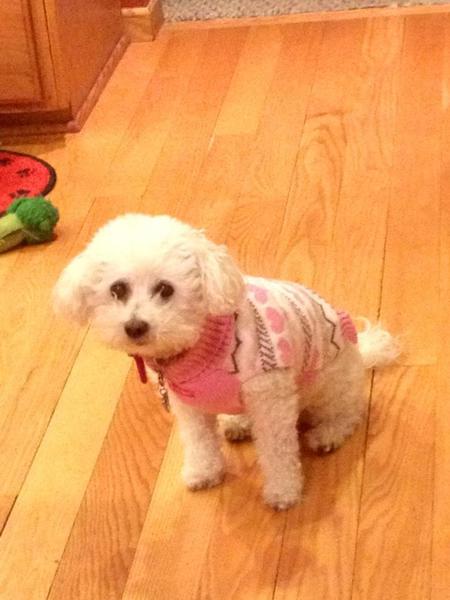 Sophie