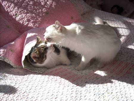 Maggie & Princess