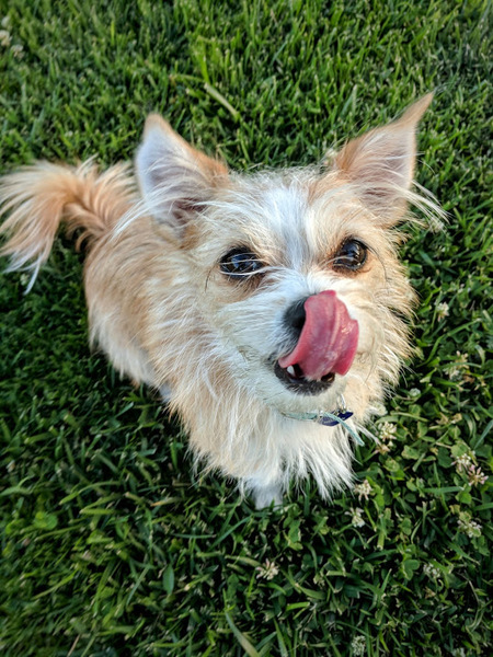 Luna