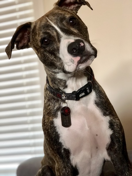 Vader