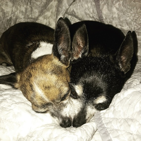 Bonita & Chiquita 