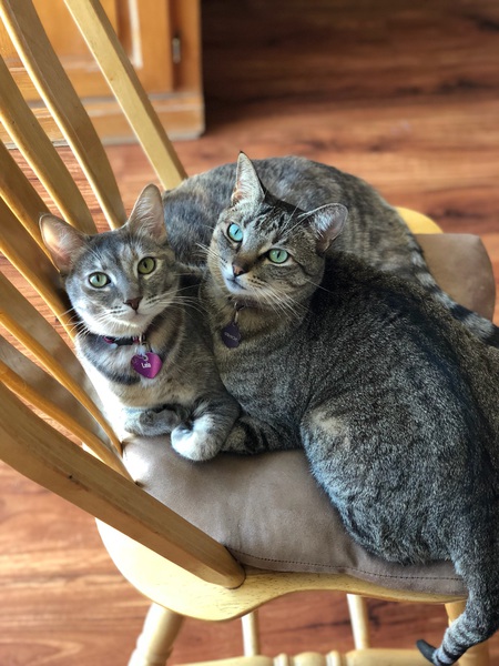 Leia and Gracie 