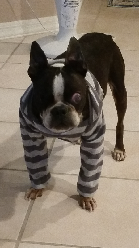 Bozo