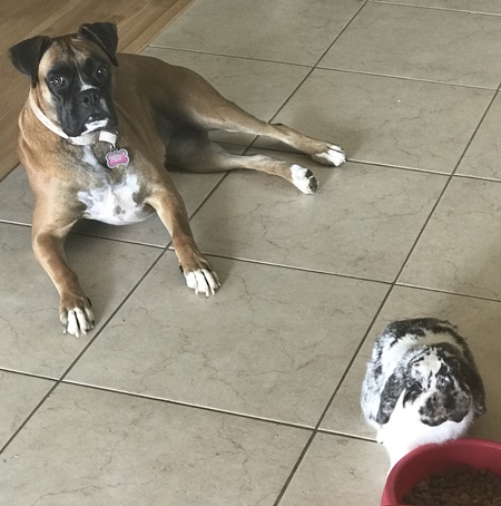 Layla and Speckles