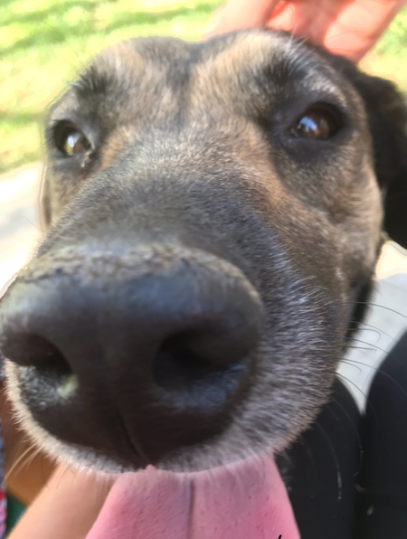Delilah 