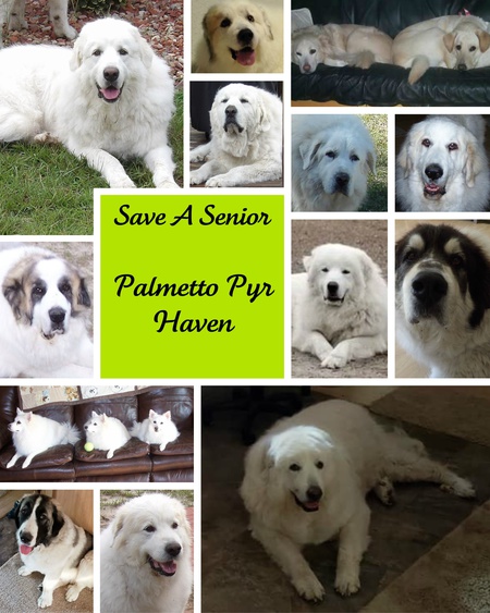 Palmetto Pyr Haven Fluffies