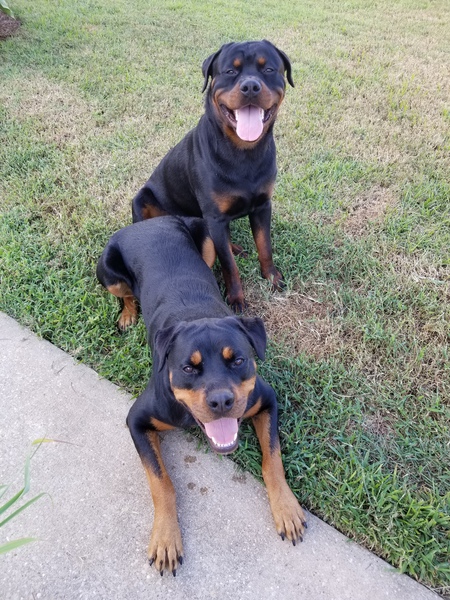 Logan and Remy Jax