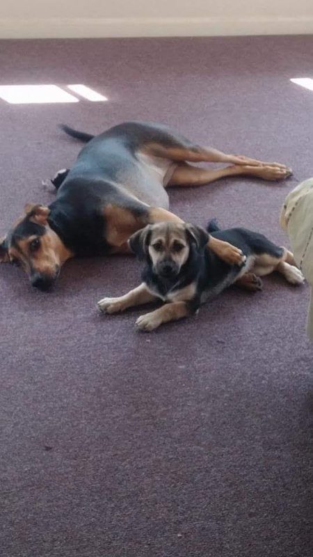 Molly and josie