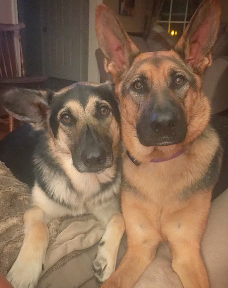 Scout & Kimber
