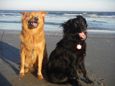 Bear and Ava