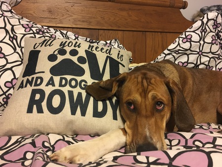 Rowdy