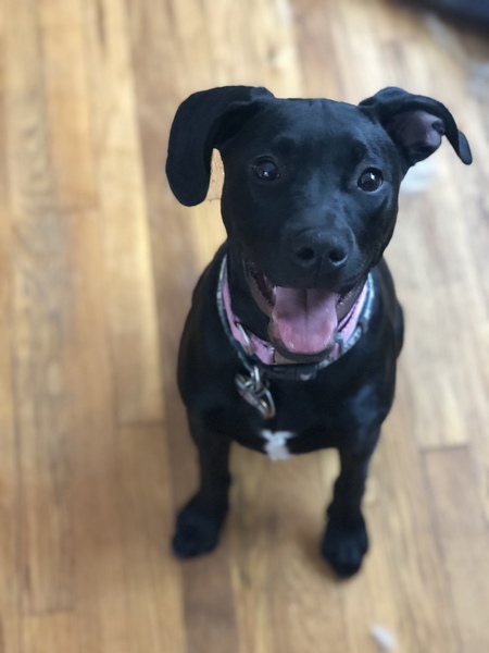 Sammi