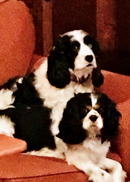 Kayley & Riley